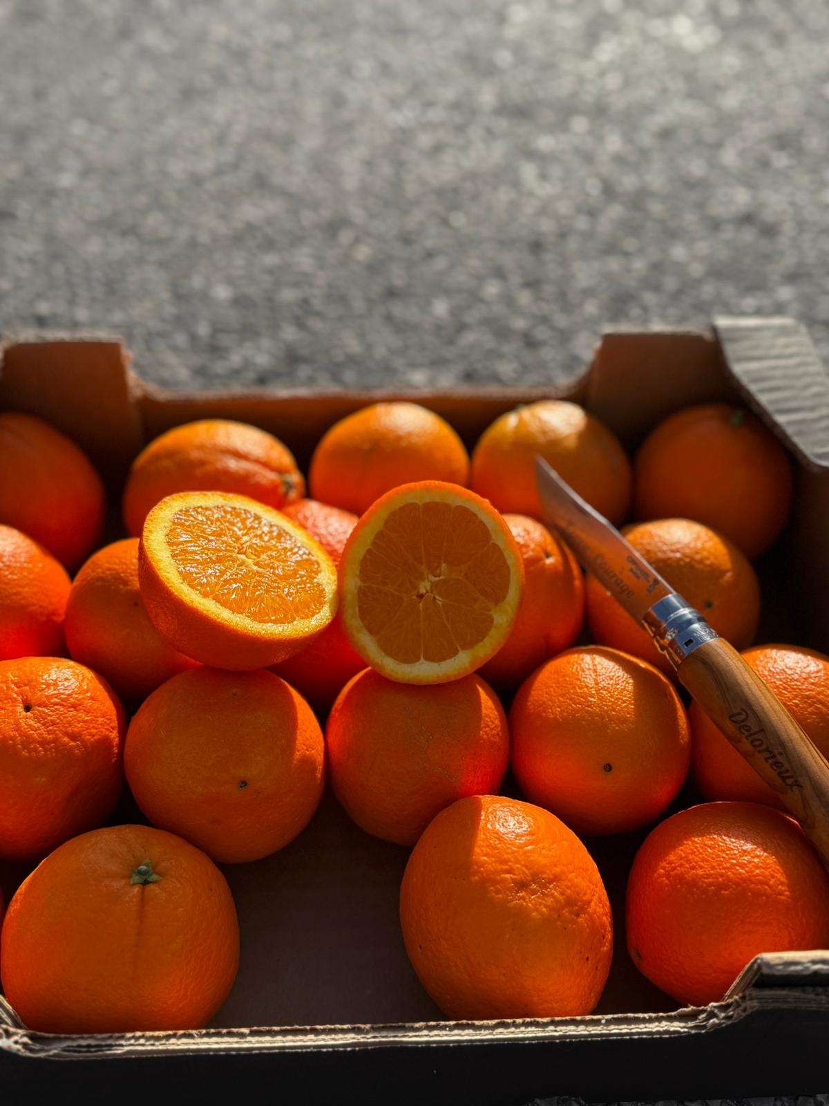 Oranges Bio - Origine Corse