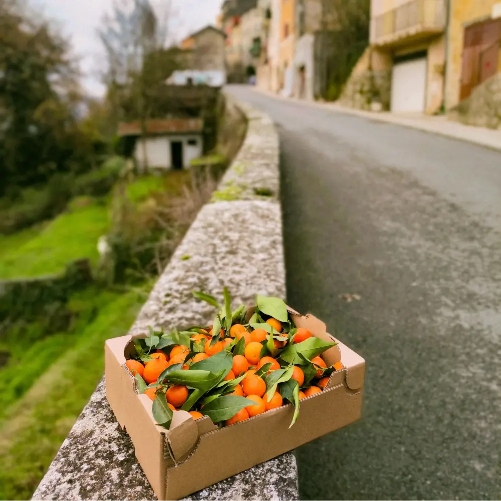 Clémentines Bio - Origine Corse