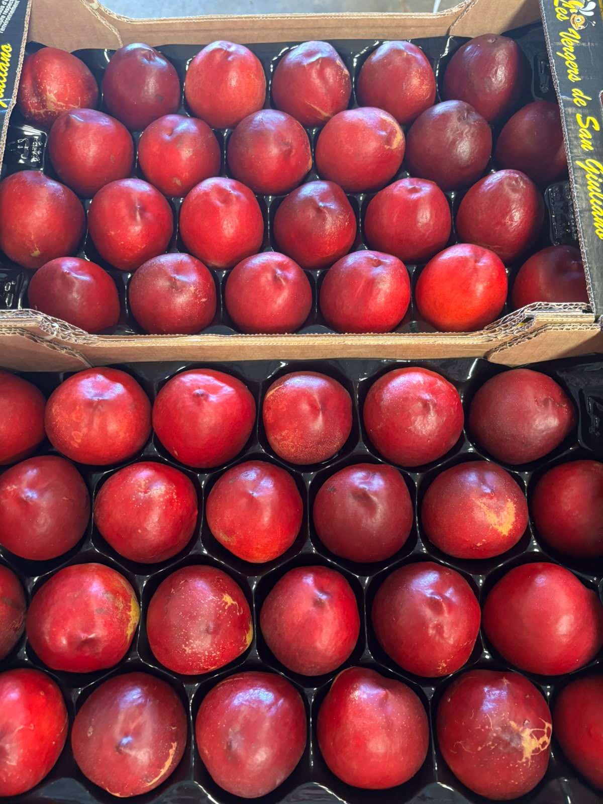Pêches de Corse - Caisse de 2kg