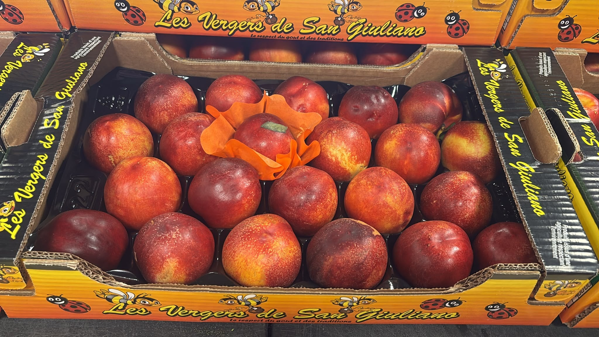 Nectarines de Corse - Caisse de 2kg