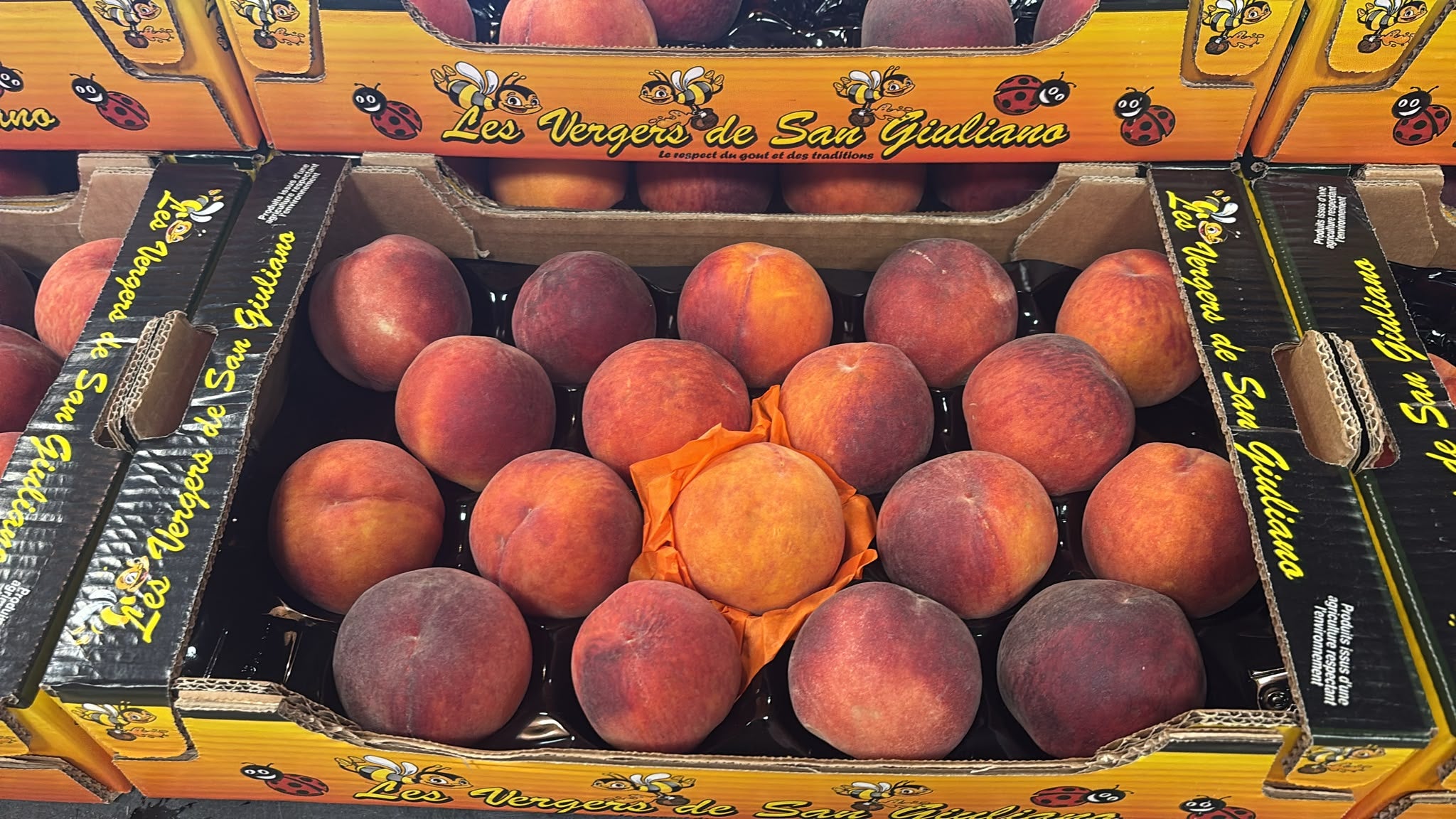 Nectarines de Corse - Caisse de 2kg