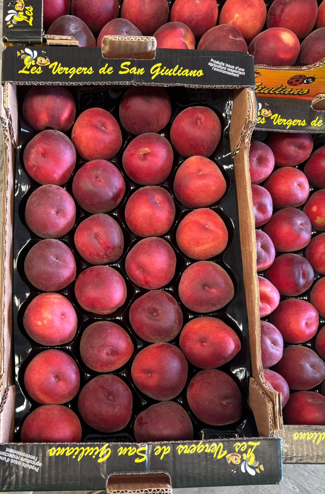 Pêches de Corse - Caisse de 2kg